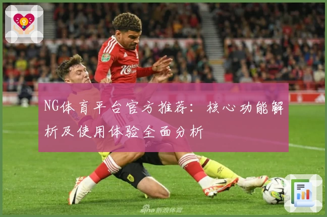 NG体育平台官方推荐：核心功能解析及使用体验全面分析