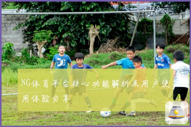 NG体育平台核心功能解析及用户使用体验分享